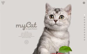 podopodstore 스크린샷